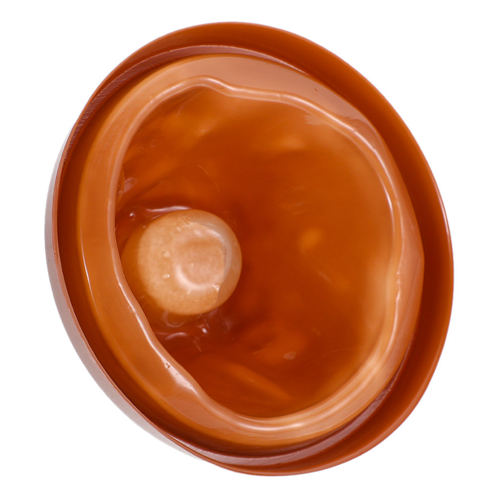 Volcano Kit Eruption - Volcanic Eruption Plastic Volcano Shell Science