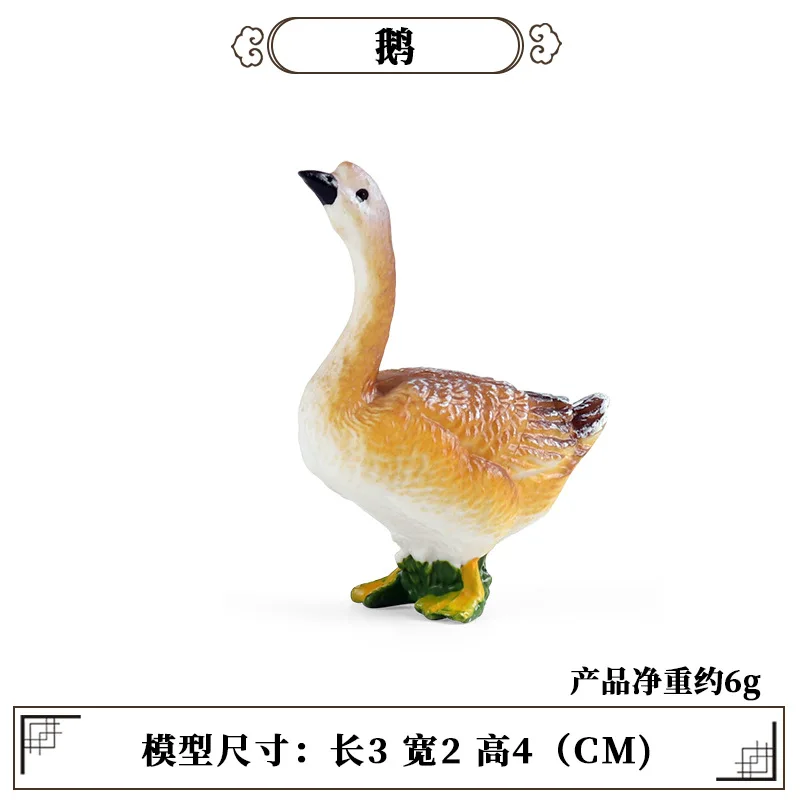Science Toys - Education Teaching Tool Poultry Animal Mini