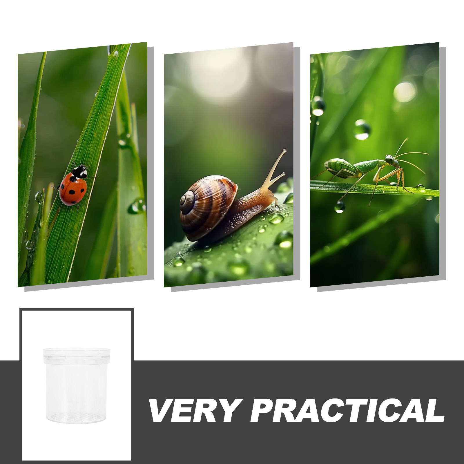 3X Magnifying Insect Observati - Science Toys recension och pris