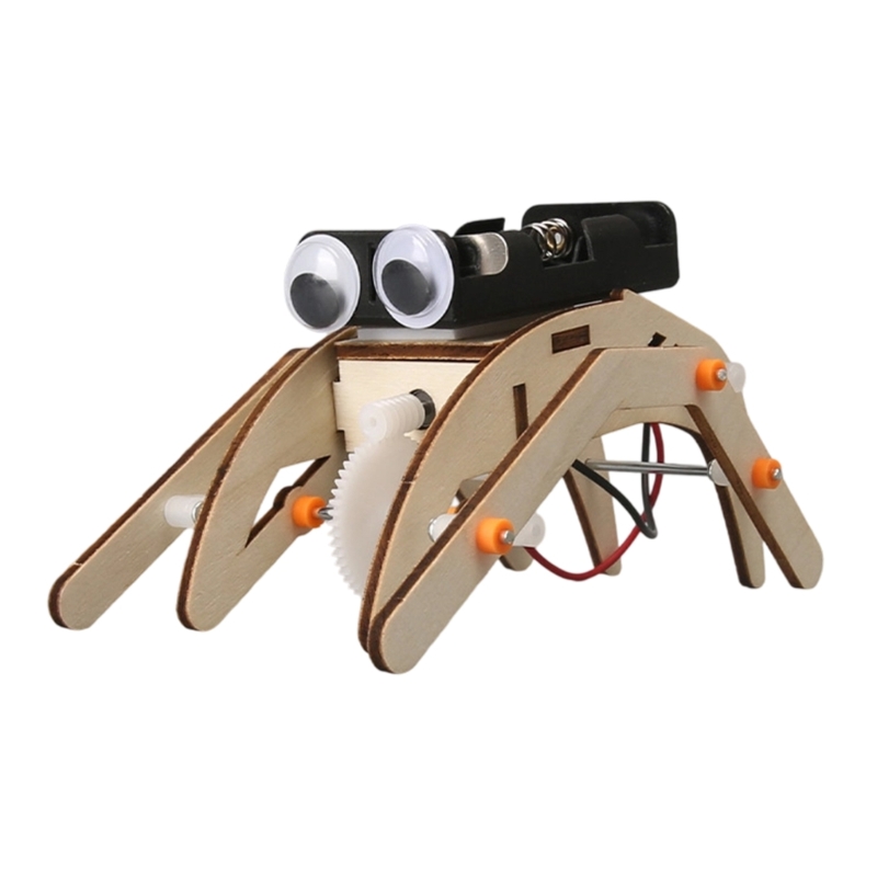  Wooden STEM Building Project  - Science Project Physics recension och pris
