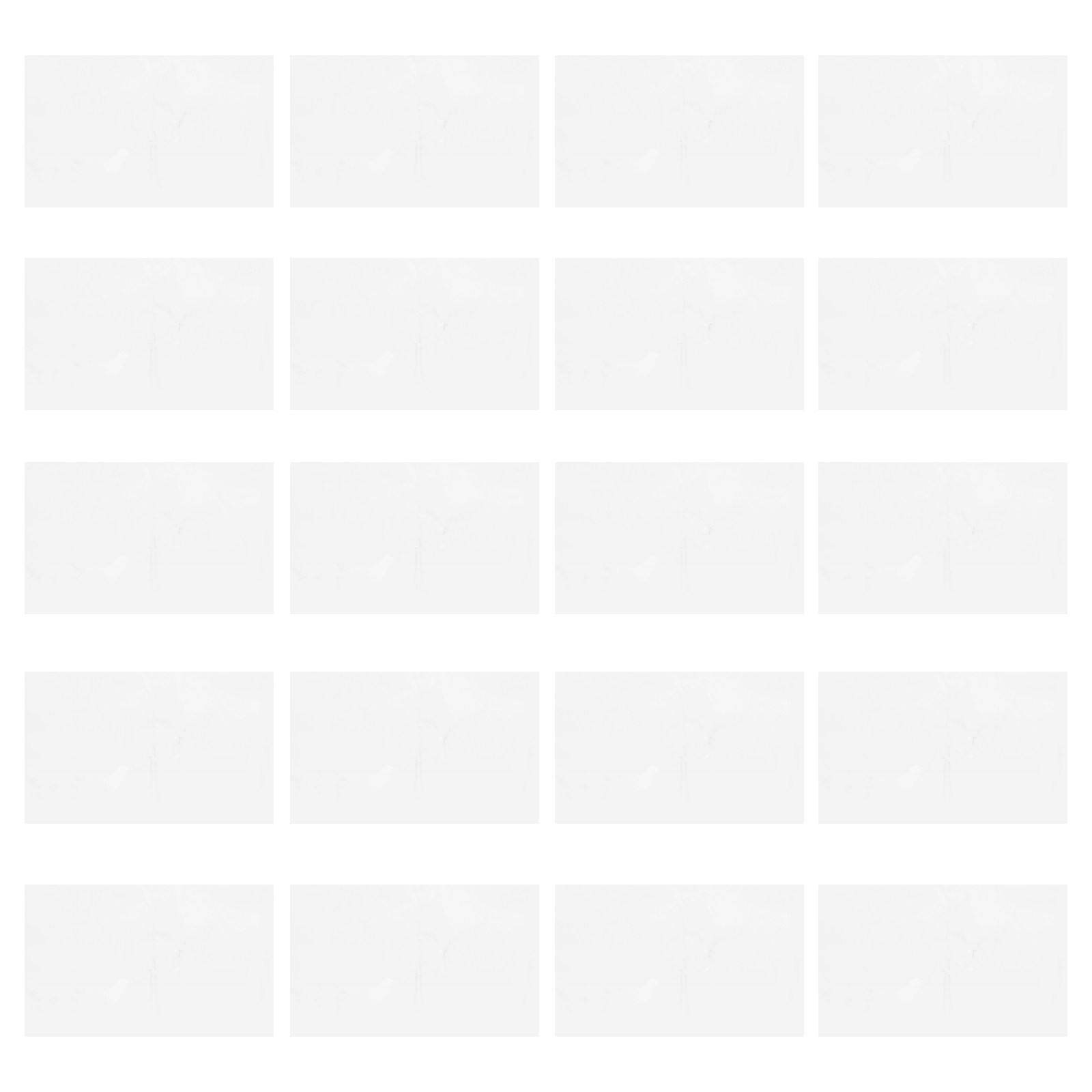 20Pcs Biology Semi-Permeable M - Science Experiment recension och pris