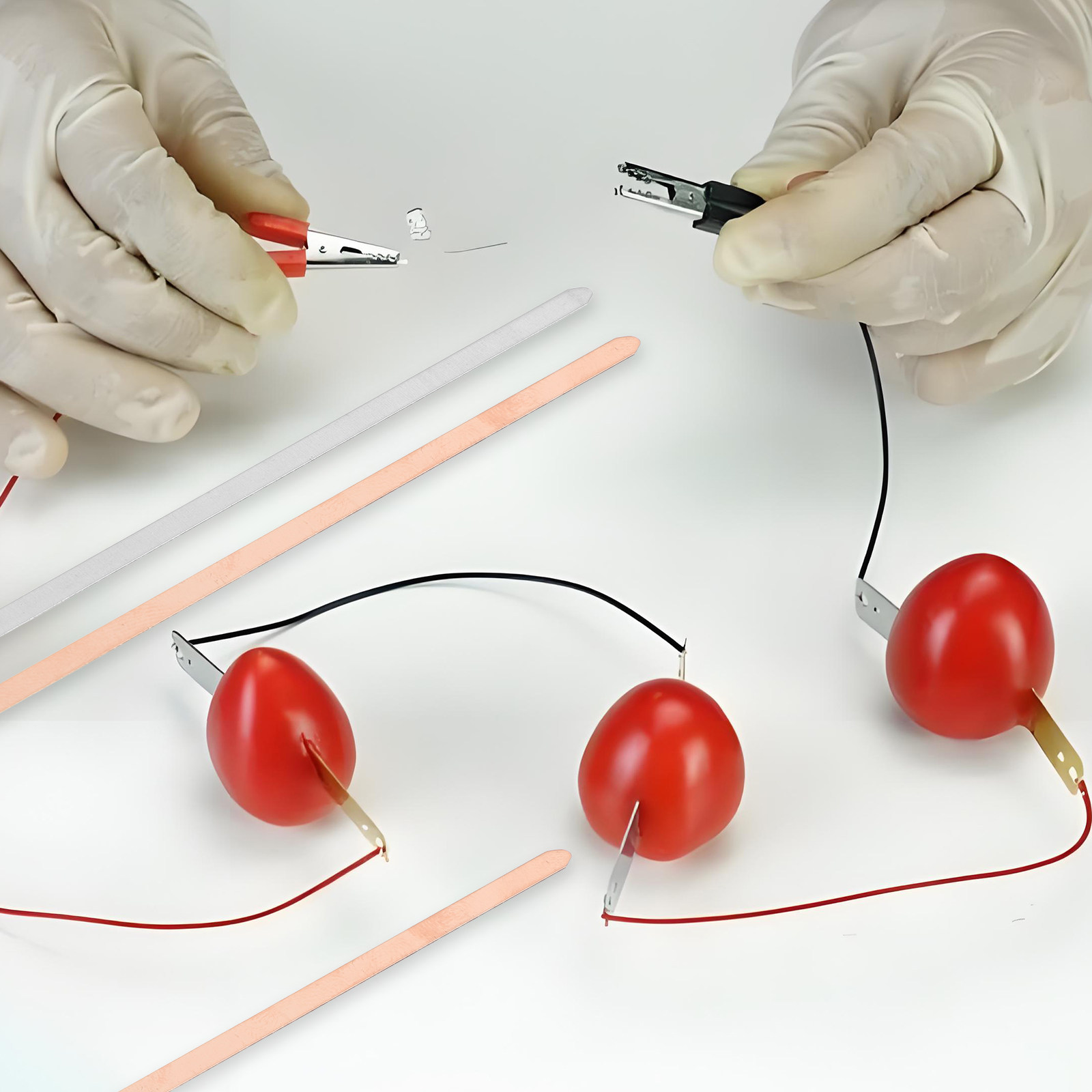 20Pcs Educational Fruit Batter - Science Project Physics recension och pris