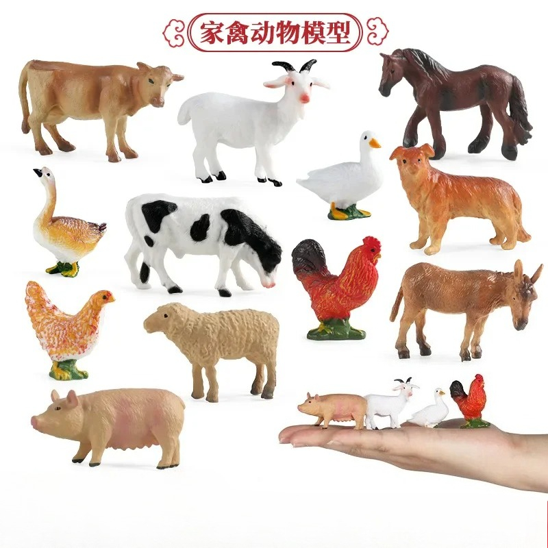 Education Teaching Tool Poultr - Science Toys recension och pris