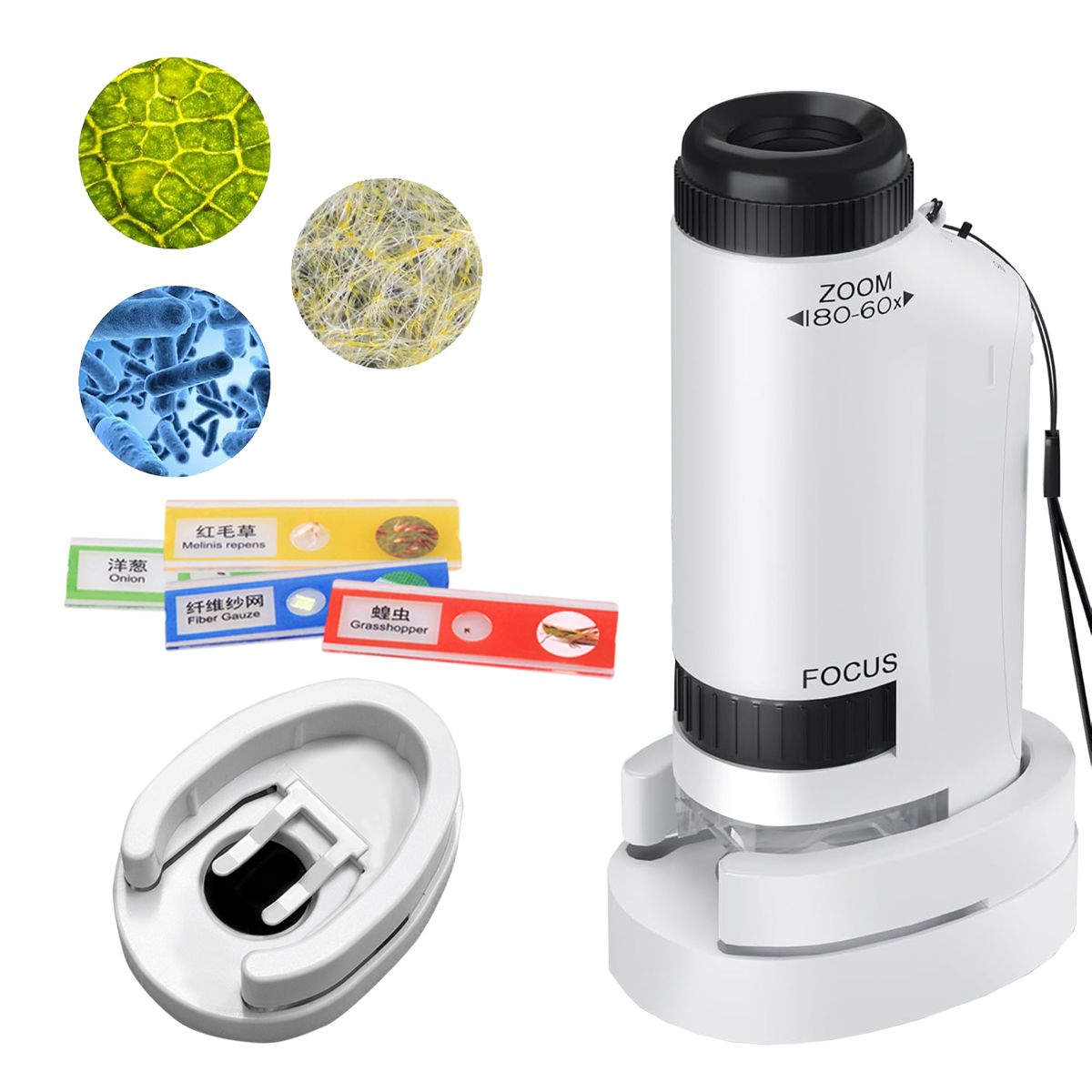 Mini Microscope Handheld Toys  - Science Max recension och pris